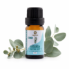 Tinh Dầu Khuynh Diệp Nguyên Chất Tam Nguyên Organic 10ml được chiết xuất từ lá khuynh diệp bằng phương pháp chưng cất hơi nước. Hương thơm thanh mát tự nhiên, phù hợp khuếch tán, massage khi pha loãng và tạo hương thơm cho không gian sống.